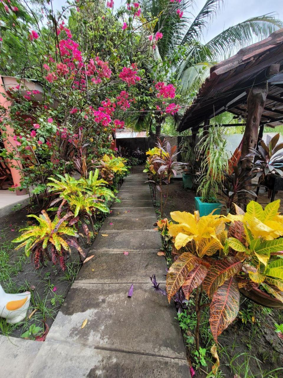 Bed and Breakfast Ometepe House Moyogalpa Zewnętrze zdjęcie