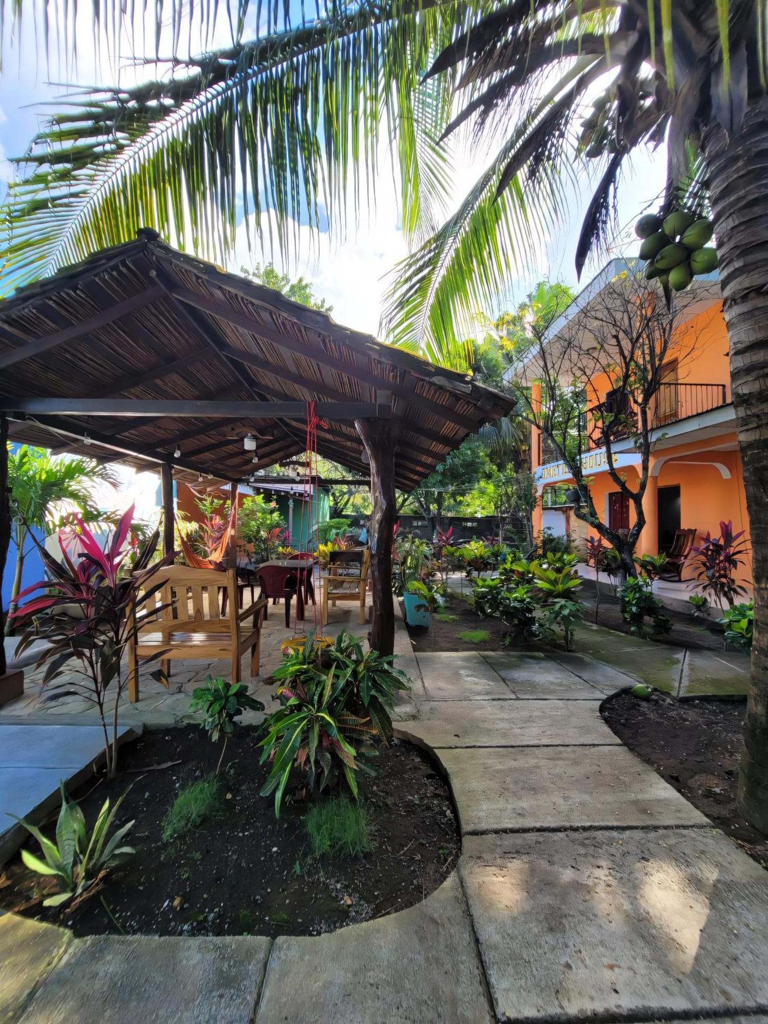 Bed and Breakfast Ometepe House Moyogalpa Zewnętrze zdjęcie